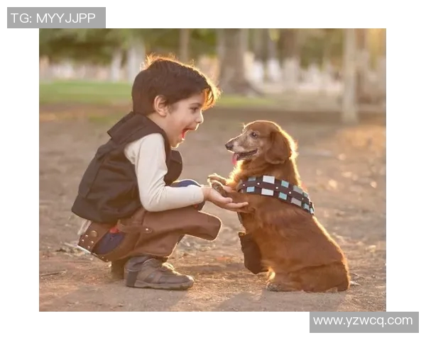 足球明星的温暖瞬间传递爱心与希望的故事